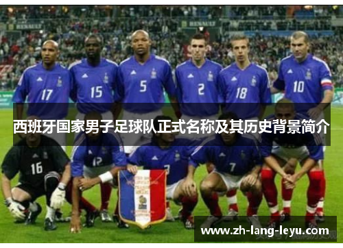 西班牙国家男子足球队正式名称及其历史背景简介